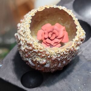 Boro Flower Fossil Red over White