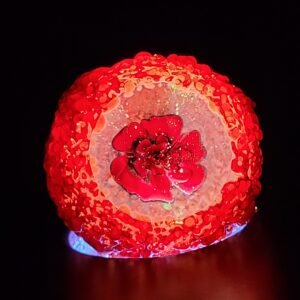 Boro Flower Fossil Red/Black